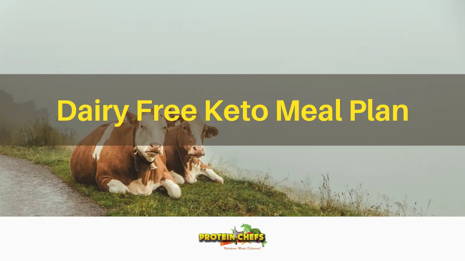 DairyFree Keto Meal Plan Protein Chefs Protein Chefs