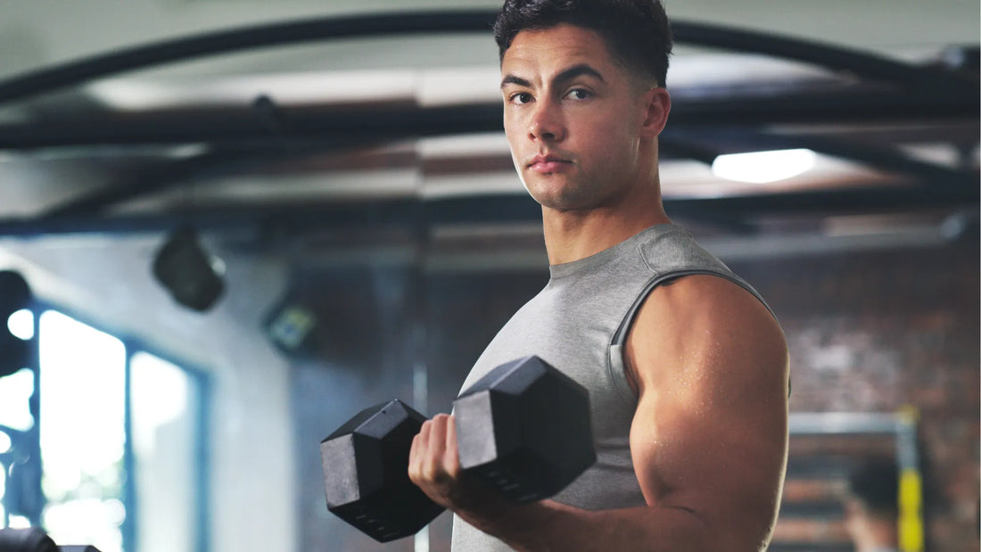 Lean Bulk Diet: Build Muscle Without Unwanted Fat Gain – Protein Chefs