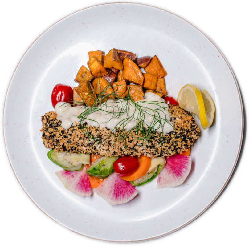 Gourmet XL - Herb Crusted Salmon w/ Citrus Dill Sauce (Organic Atlantic Salmon)